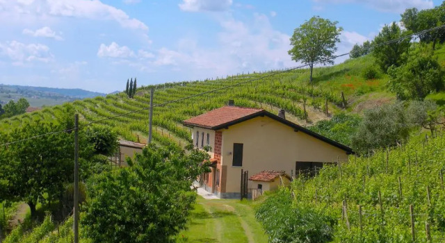 Коттедж Cascina Tra I Vigneti a Nizza Monferrato