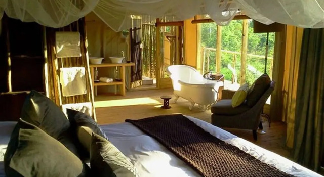 Zelt Miombo Safari