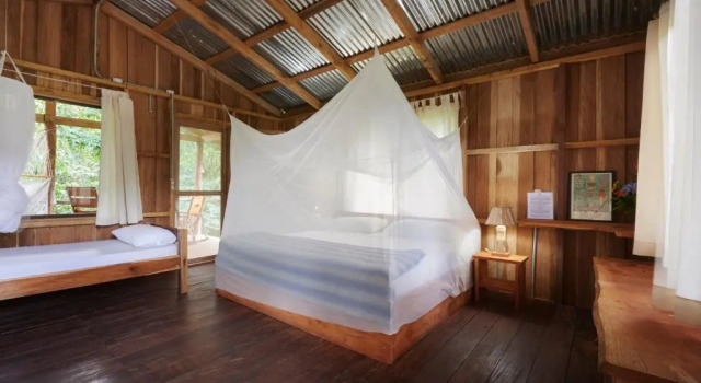 Бунгало Deluxe Finca Amistad Cacao Lodge