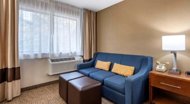 Двухместный номер Standard Comfort Inn & Suites Montpelier-Berlin