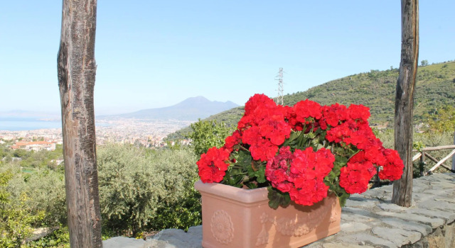 Agriturismo Casa Scola