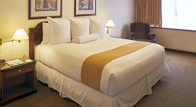 Двухместный номер Standard Thunderbird Hotels J.Pardo