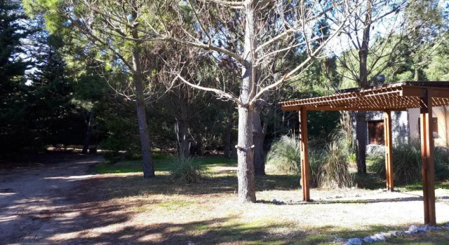 Коттедж La Gringa, un espacio único en el medio del bosque