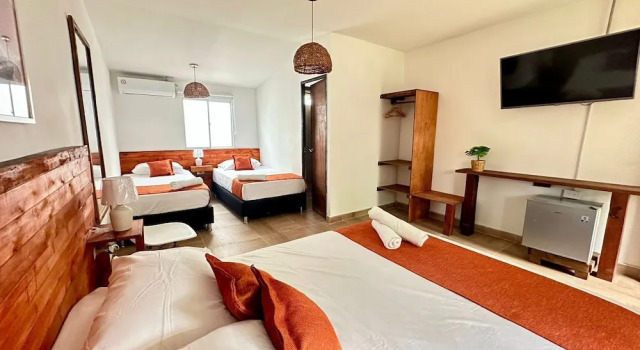 Четырёхместный номер Standard с видом на сад Eco-Hotel Palma É Coco