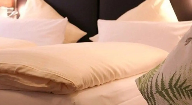 Трёхместный номер Standard Baums Rheinhotel