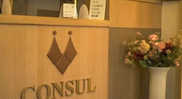 Hotel Consul