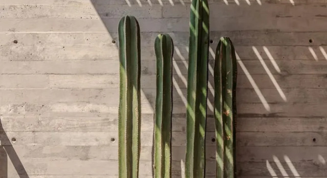 Коттедж w Stylish 2BR Apartment With Ocean View in La Paz