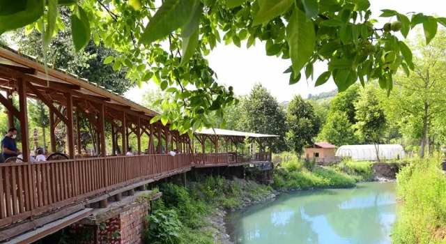 Evcek Bungalov, Réserver Hôtel Duzce Black Sea Region