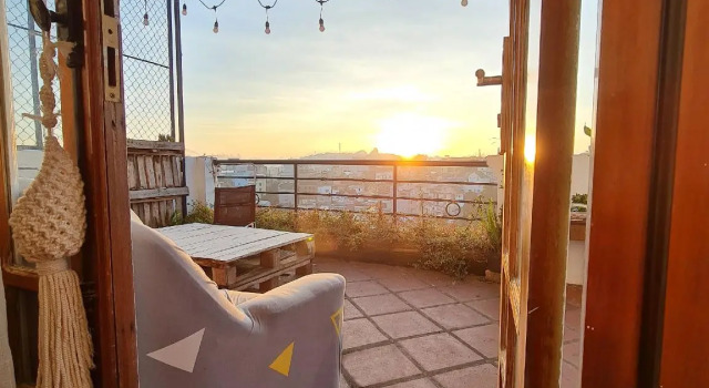 Raccoon & Paws Homestay Dalat