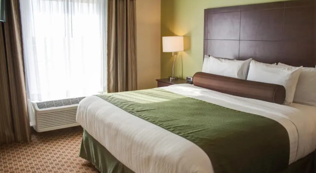 Номер Standard Cobblestone Hotel and Suites - Jefferson