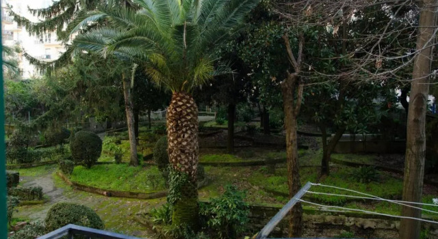 Casa Michelangelo, Book Hotel Vomero Napoli