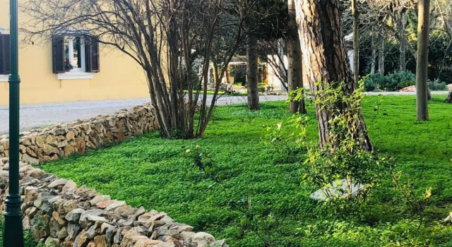 1 makuuhuone Huoneisto Villa in Salento
