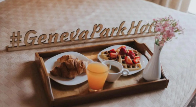 Номер Standard Geneva Park Hotel