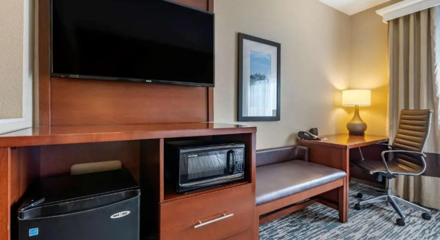 Одноместный люкс Comfort Suites Keeneland
