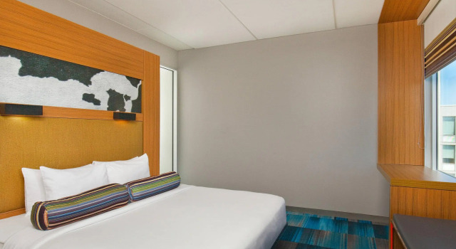 Двухместный номер Standard Aloft by Marriott Bolingbrook