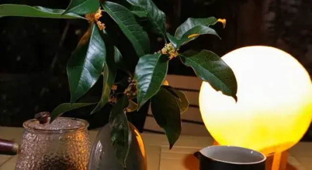 Xunyuanju Homestay