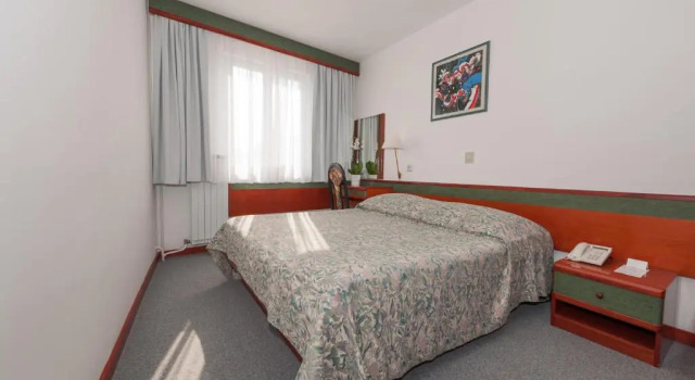 Двухместный номер Economy Maistra Select Pineta Hotel