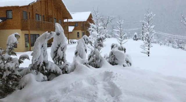 Апартаменты Les Chalets Fleurs de France - KOTA