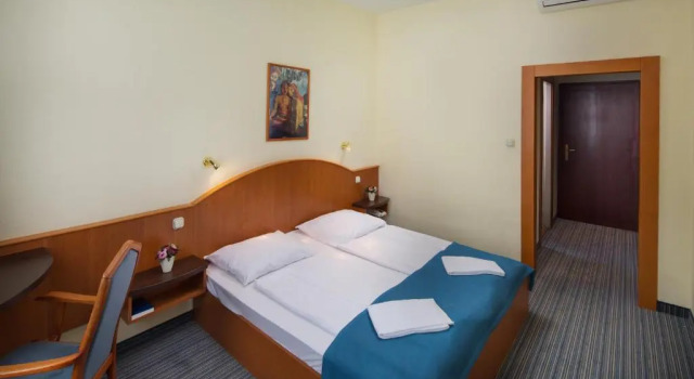 Одноместный номер Economy Benczur Hotel