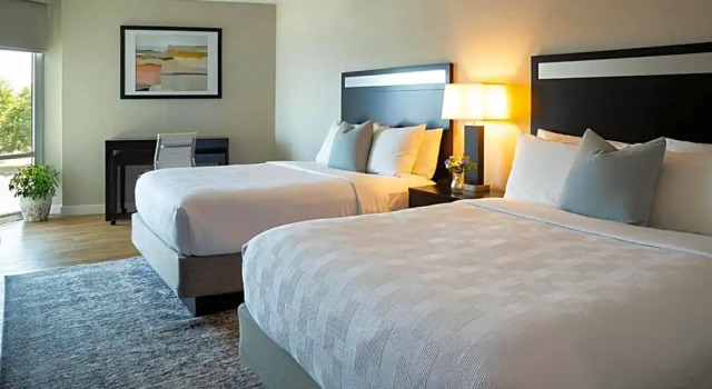 Двухместный номер Standard с видом на бассейн Delamar Traverse City