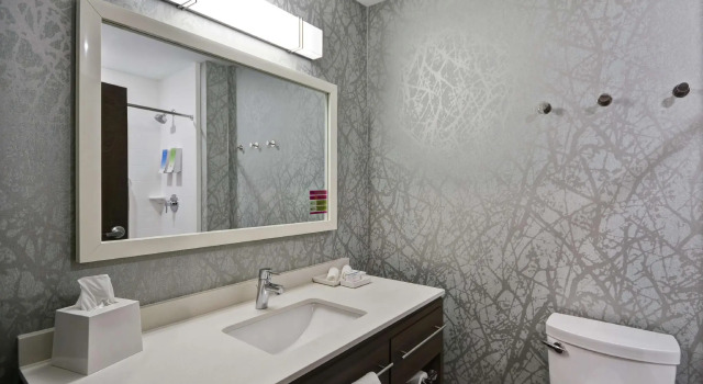 Двухместный люкс Home2 Suites By Hilton Grand Rapids North