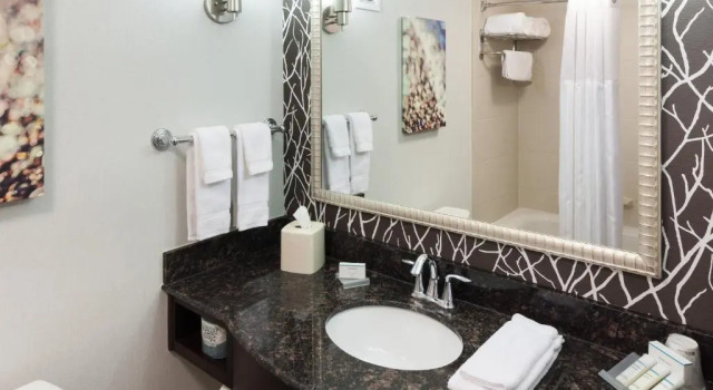 Люкс Hilton Garden Inn Cincinnati/Mason