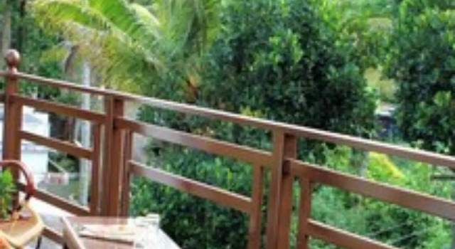 Periyar Woods