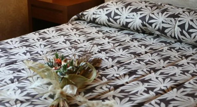 Двухместный номер Standard Alexandros Boutique Hotel