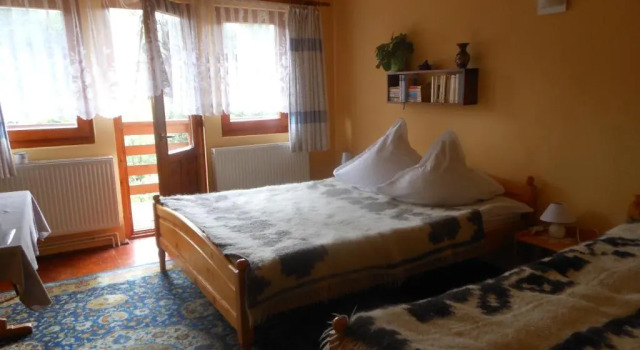 Номер Standard Pensiunea Gentiana