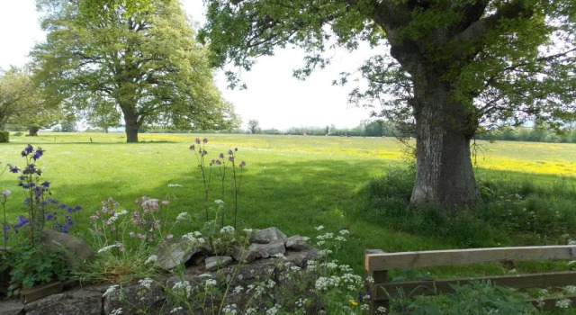 Standard- værelse Ash Hill B&B