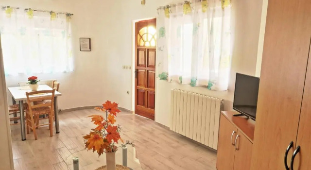 Студия с красивым видом из окна Vratovic Apartments