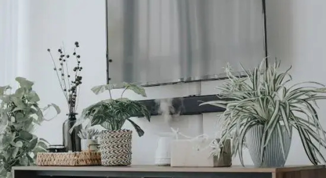 Omahe Malang Boho Urban Jungle Private House