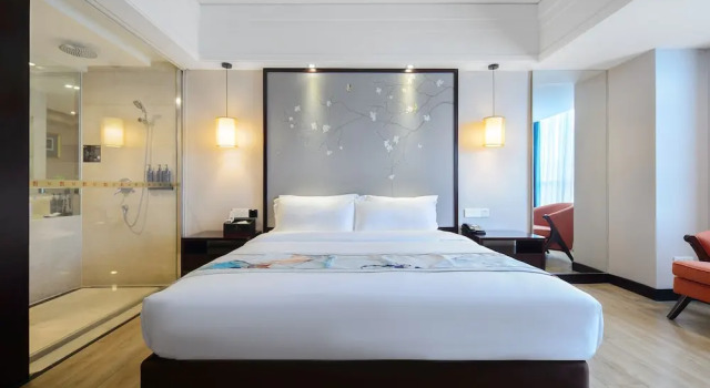 Одноместный номер Standard Rezen Select Pasonda Hotel