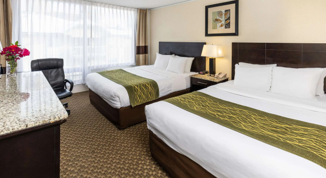 Четырёхместный номер Standard Comfort Inn & Suites