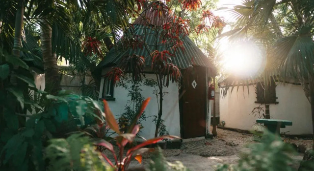 Двухместный номер Standard Hostel Oryx Tulum