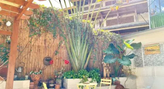 Jinghong LiAnn Xuan'an Homestay (Manting Park Branch)