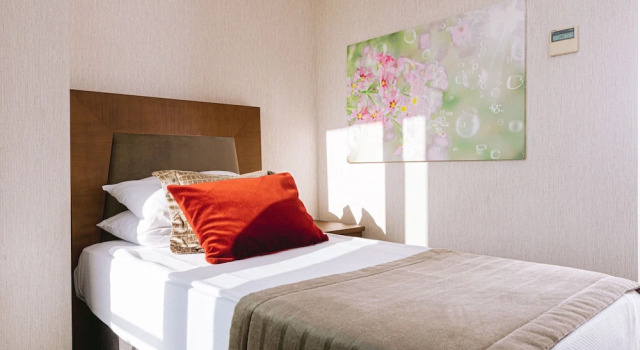 Одноместный номер Executive Ilica Hotel Spa & Wellness Resort