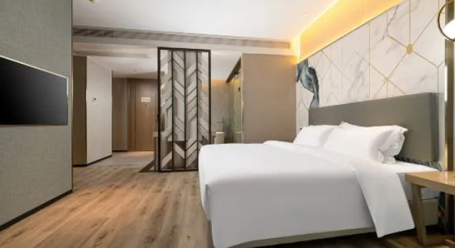 Люкс New Century Manju Hotel (Ningbo Nantang Old Street Railway Station)