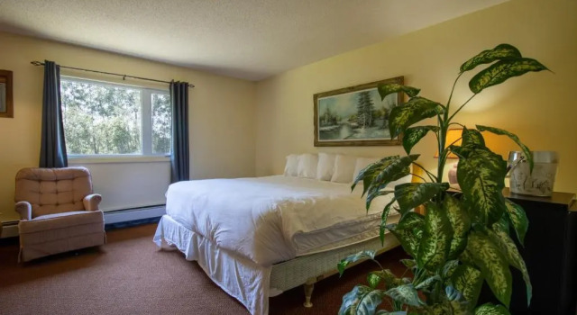 Номер Standard Englehart Inn