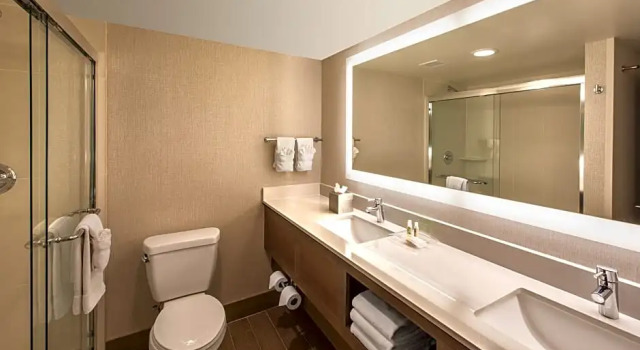 Номер Premium Holiday Inn Denver Lakewood by IHG