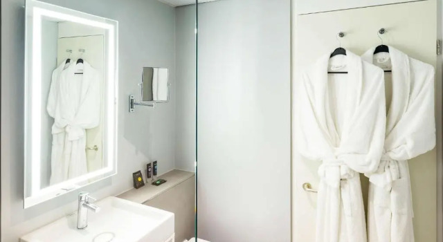 Двухместный номер Executive Novotel Amsterdam City
