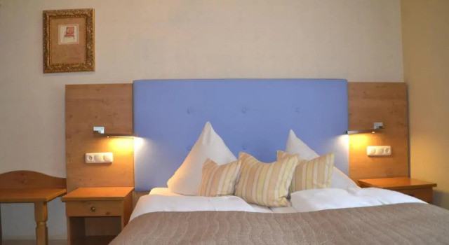 Двухместный номер Standard Alpina Hotel