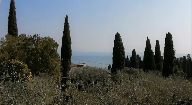 Люкс Deluxe Villa Paradiso