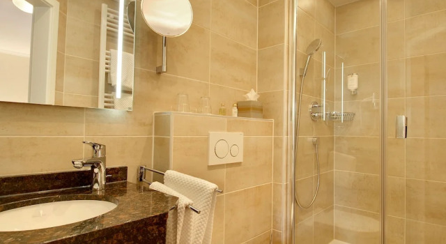 Одноместный номер Comfort Hotel Kriemhild am Hirschgarten