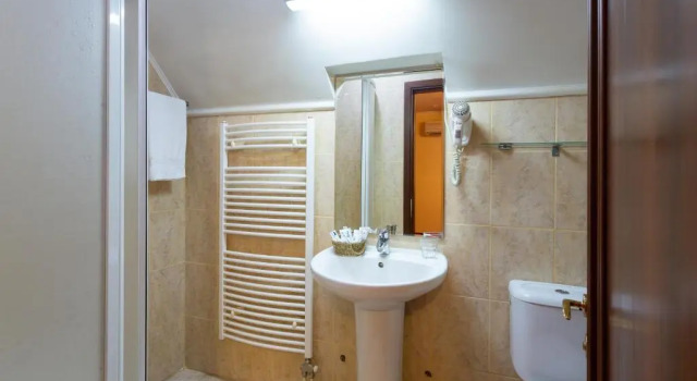 Двухместный номер Standard Casa Danielescu