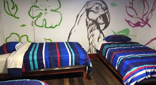 Yurtta yatak Déjà Vu Backpackers