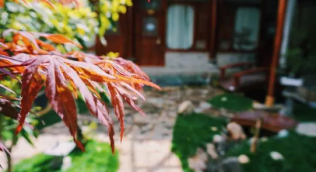 Jianchuan Yiru Geshi Homestay, Boek Hotel Jianchuan Yunnan