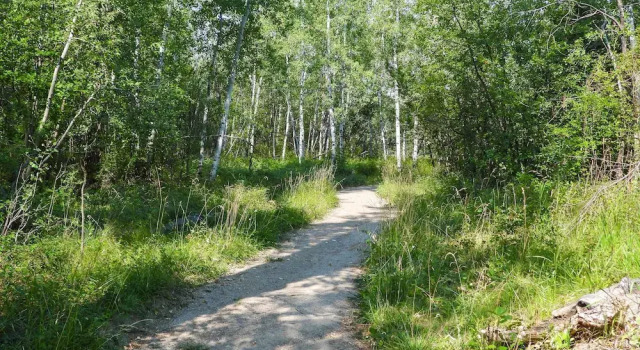 Коттедж Bozeman Home w/ Deck: Walk to Fishing, Hot Springs