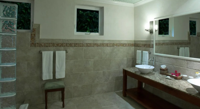 Номер Premium Rosalie Bay Eco Resort & Spa