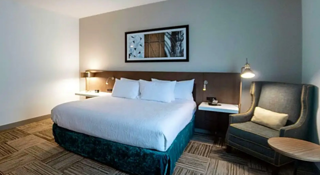 Номер Deluxe Hilton Garden Inn Spartanburg